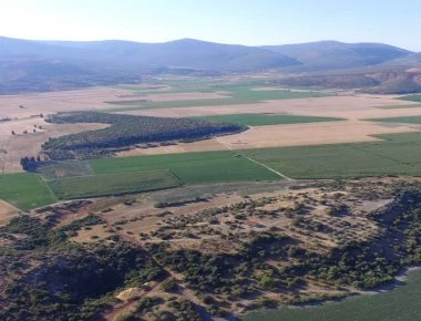 Κωπαΐδα: Στο «φως» σπουδαία ευρήματα από αρχαιολογική ανασκαφή (φωτό)